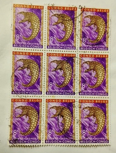 Timbres congo belge en bloc - ,