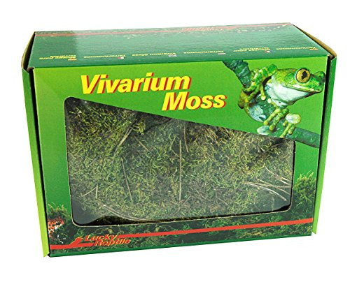 Lucky reptile vivarium moss - reptile,