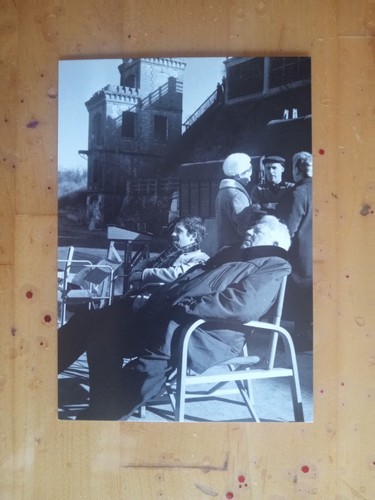 Carte postale singe en - postale,