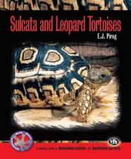 Tortues Sulcata Et Léopard