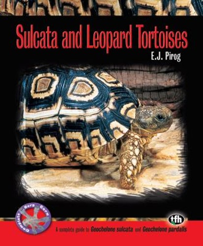 Tortues sulcata léopard - tortues, et