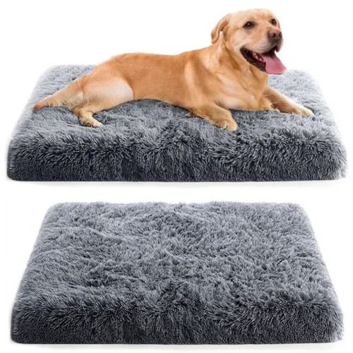 Coussin chien lit - chien,