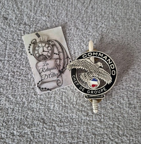 Insigne pin s - pin's, brevet