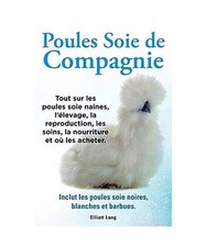 Poules soie de compagnie. Tout