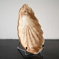 Ravier shell Jules Vieillard Bordeaux faience 19th century France