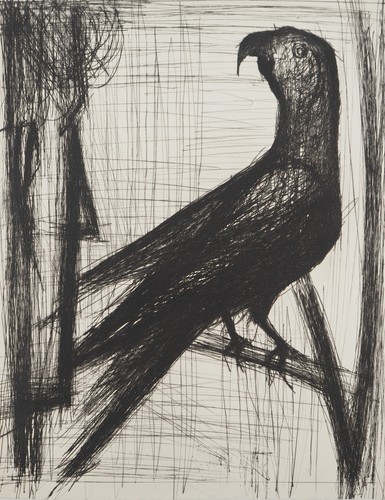 Bernard buffet le perroquet - :,
