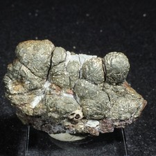 Marcassite - Hendaye - Pyrénées Atlantiques - France - 4 x 3 cm