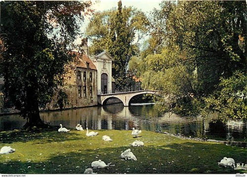 Carte postale belgique - postale,