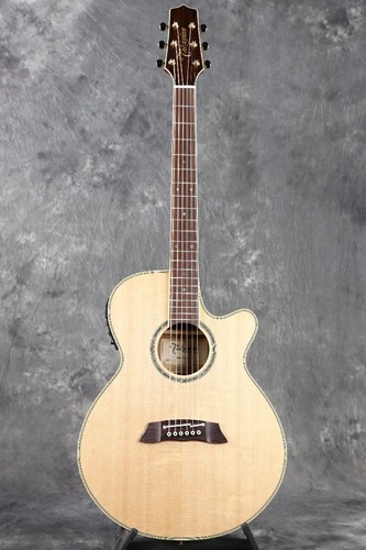 étui takamine tsp138c pour - Étui, n