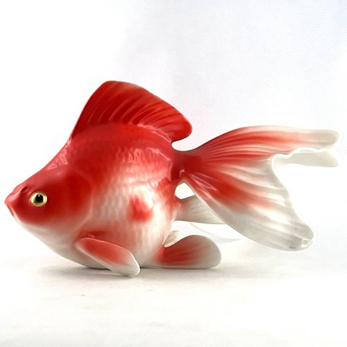 Rare sujet goldfish - rare,