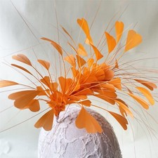 Fascinateur En Plumes De Paon