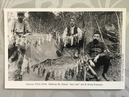 Reproduction photo 150mm - , x