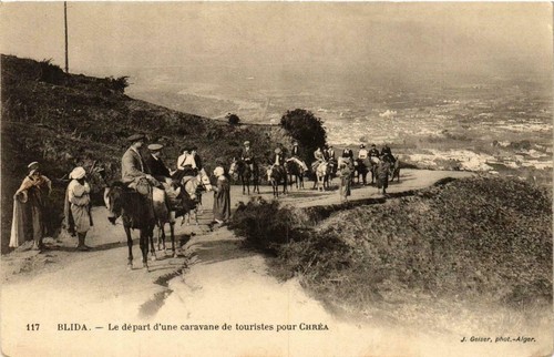 Cpa algeria geiser 117 - cpa,