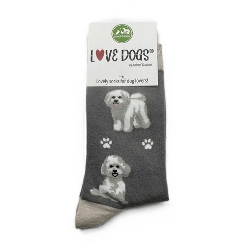 Chaussettes chien bichon - bichon, frise