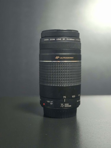 Objectif canon 300mm - objectif,
