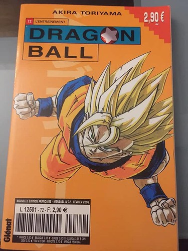 Livre dragon ball - dragon,