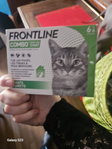 Frontline combo chat - combo, 6