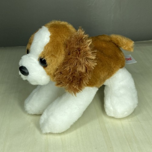 Cavalier king charles - king, spaniel