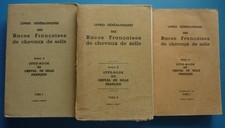 CHEVAUX DE SELLE.  RACES