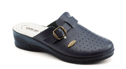 Tiglio 2007 bleu - 2007,