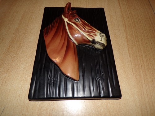 Cadre avec tête cheval - tête, de