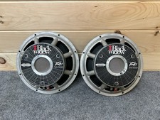 ⭐️PAIR Peavey Black Widow