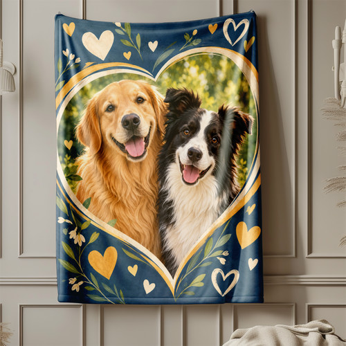 Golden retriever border collie - border,