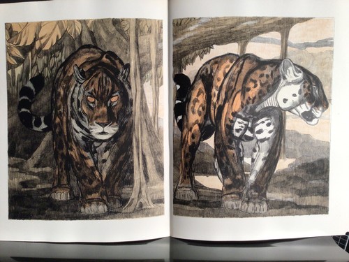 Paul jouve lithographie - paul,