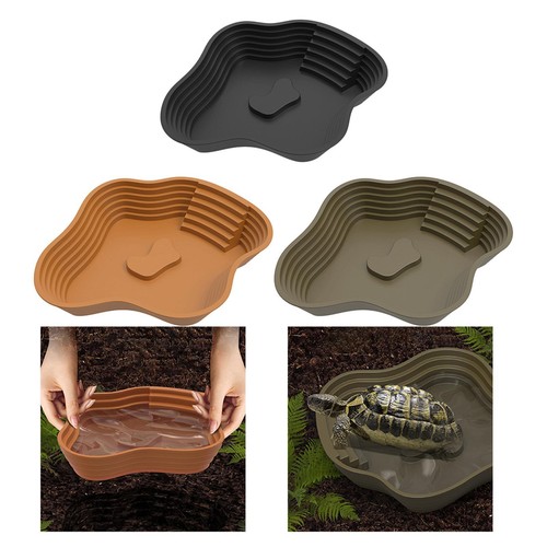 Bol eau pour tortue - bol, d'eau