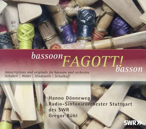 Bassoon fagott basson carl - bassoon, fagott!