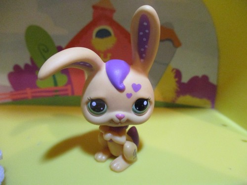 Petshop lapin garenne 2169 - lapin, de