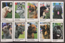 Lot of 10 "Dog" Theme Matchboxes (Ba/79)