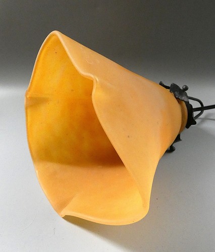 Grosse tulipe daum nancy - grosse,