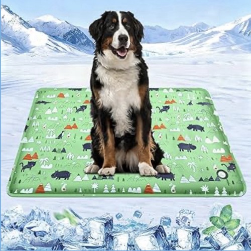 Tapis rafraîchissant chien - chien,