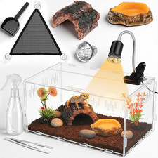 13 Pcs Mini Reptile Terrarium