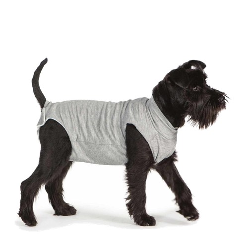 Mode chien cura - cura, animaux