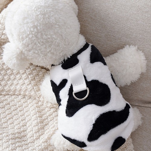 Deguisement chien gilet - chien,