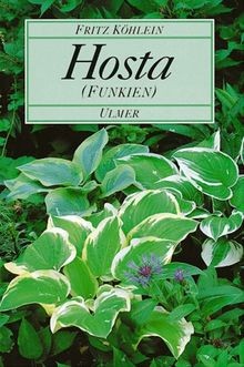 Hosta de fritz - hosta.,