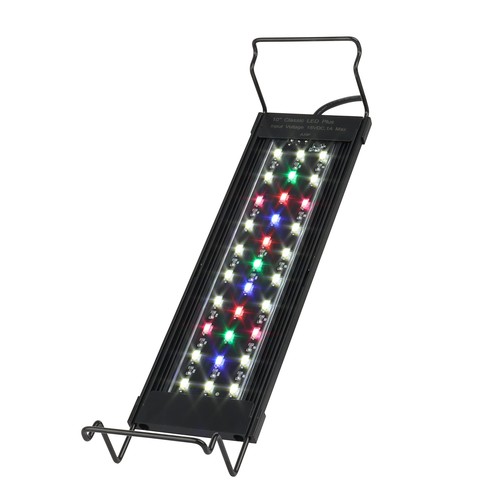 Aquarium lights fish - aquarium,