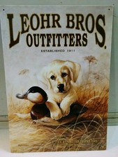 Yellow Lab Retriever Puppy