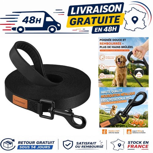 Laisse chien longe dressage - chien,