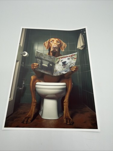 Affiche chien vizsla drôle - chien,