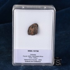Météorite NWA 15738 de 4,47