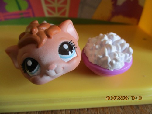 Petshop cochon inde 2062 - d'inde, #2062