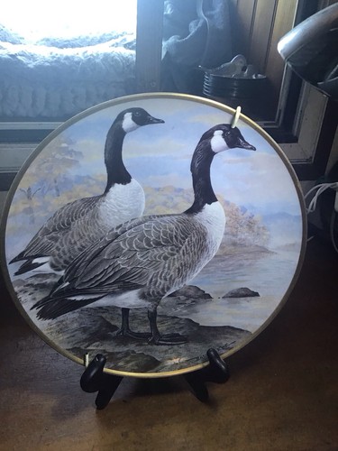 Assiette décorative waterbird - assiette,