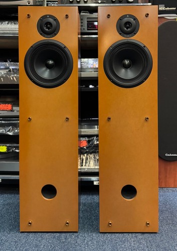 Enceinte triangle polaris - polaris,