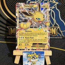 Carte Pokémon : Voltali EX