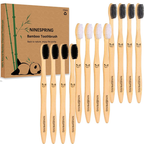 Brosses dents en - 12,