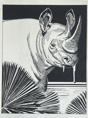Paul jouve gravure animalière - jouve,