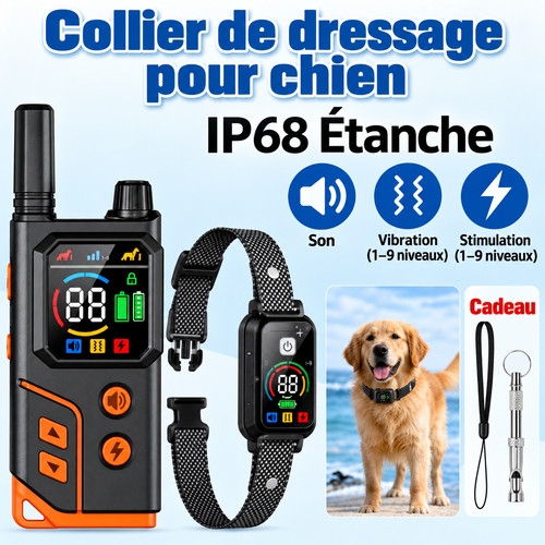 Collier dressage chien - dressage,